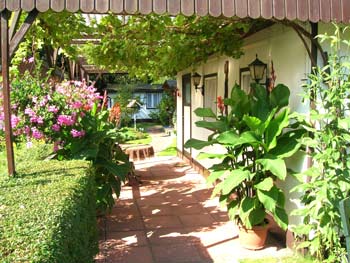 Die Terrasse vom Ferienhaus Ostsee in Markgrafenheide.